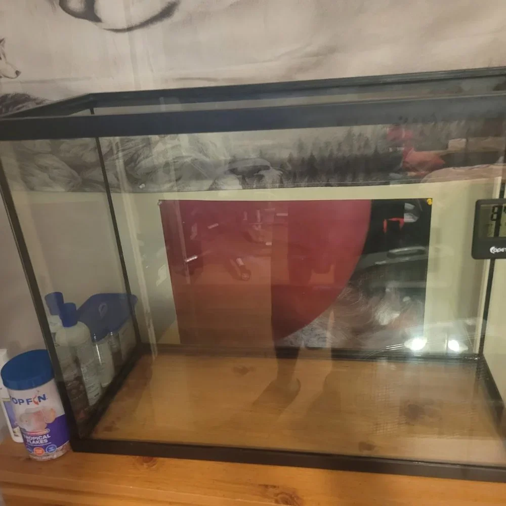 55 gallon fish tank, supplies, and accessories.